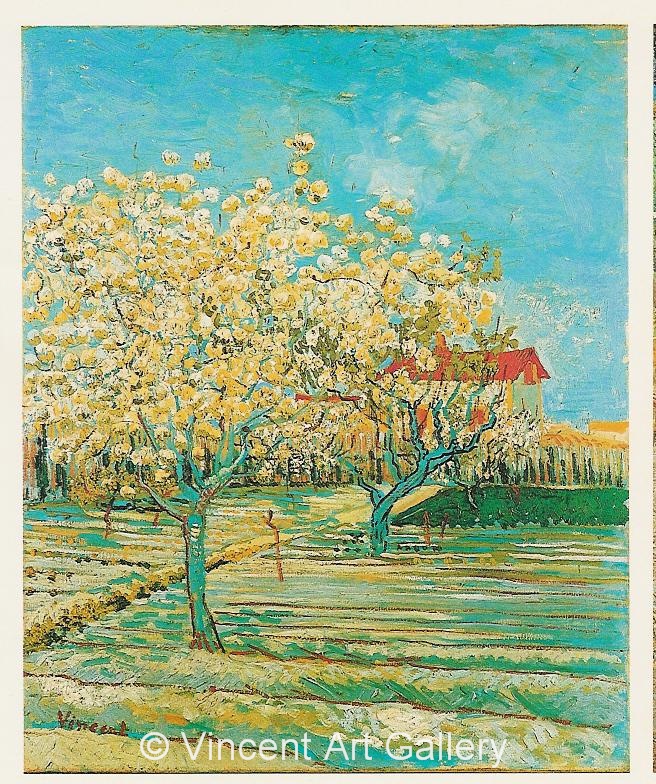 JH1399, Orchard in Blossom